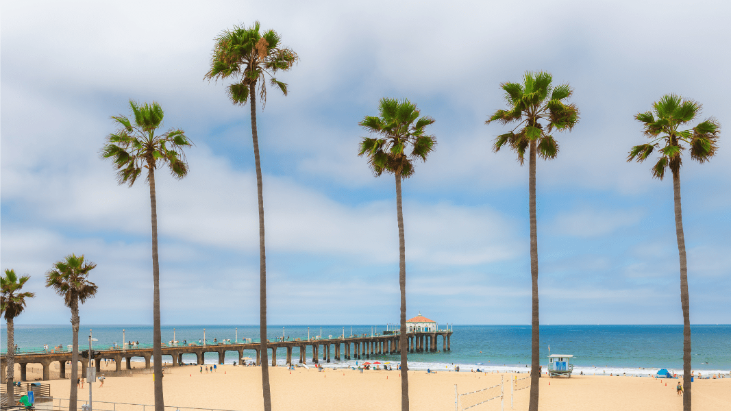 Los angels beach, palm trees, pier. photo for "about me" page.